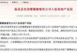 安徽临泉县爆料新闻最新,最新爆料揭示惊人真相