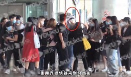 女生爆料绯闻视频大全下载,独家下载攻略