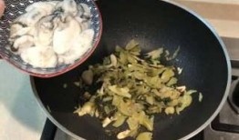 潮汕咸菜爆料视频教程全集,视频教程全集深度解析