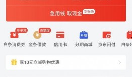 京东白条新闻爆料,揭秘背后的金融创新与风险挑战