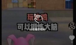 生存派对爆料视频下载,揭秘生存挑战背后的真实故事