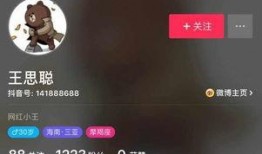 抖音王思聪爆料视频在哪看,王思聪抖音爆料视频观看攻略