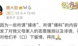 魏大勋爆料内容视频,独家爆料视频内容大揭秘