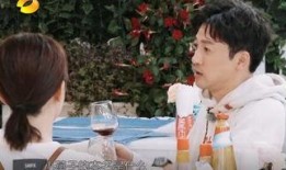 苏有朋最新爆料杨紫,独家爆料引粉丝热议