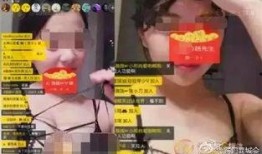 王者风范爆料主播视频大全,揭秘热门视频背后的精彩瞬间