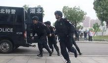 公安爆料歹徒是真的吗视频,公安爆料歹徒视频事件始末