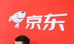 京东白条新闻爆料,揭秘背后的金融创新与风险挑战