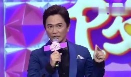 男星最新爆料视频播放,揭秘娱乐圈不为人知的秘密