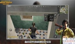 最新爆料视频素材下载,揭秘事件背后真相