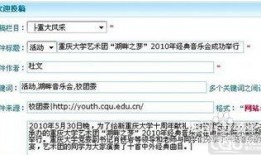 新闻热点爆料投稿流程是什么,新闻热点爆料投稿流程详解