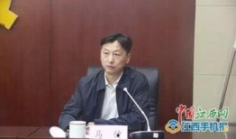 马健老师爆料新闻视频,揭秘新闻背后的真相
