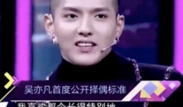 吴亦凡视频爆料,揭秘娱乐圈背后真相