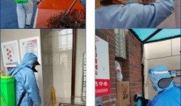 爆料的小区物业视频,真实一幕引发热议