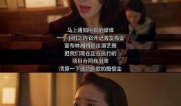 秦岚娱乐大爆料是哪一期,揭秘明星幕后故事