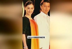 明星爆料每日更新视频,每日新鲜视频内容大盘点”