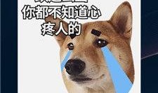 天威狮鹫爆料视频播放下载,独家下载解析