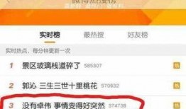 卓伟爆料田源视频,卓伟独家爆料，真相究竟如何？