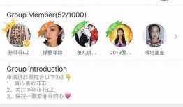 淄博网红吃瓜群微信号,揭秘幕后故事，带你领略网络红人圈