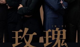 独家爆料官宣视频完整版,独家爆料！官宣视频完整版揭秘幕后真相